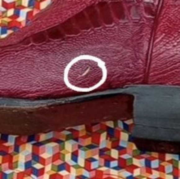 Lamasini Cowboy boots Reptile/Leather made in Mexico  (pre-loved) - Picture 7 of 14